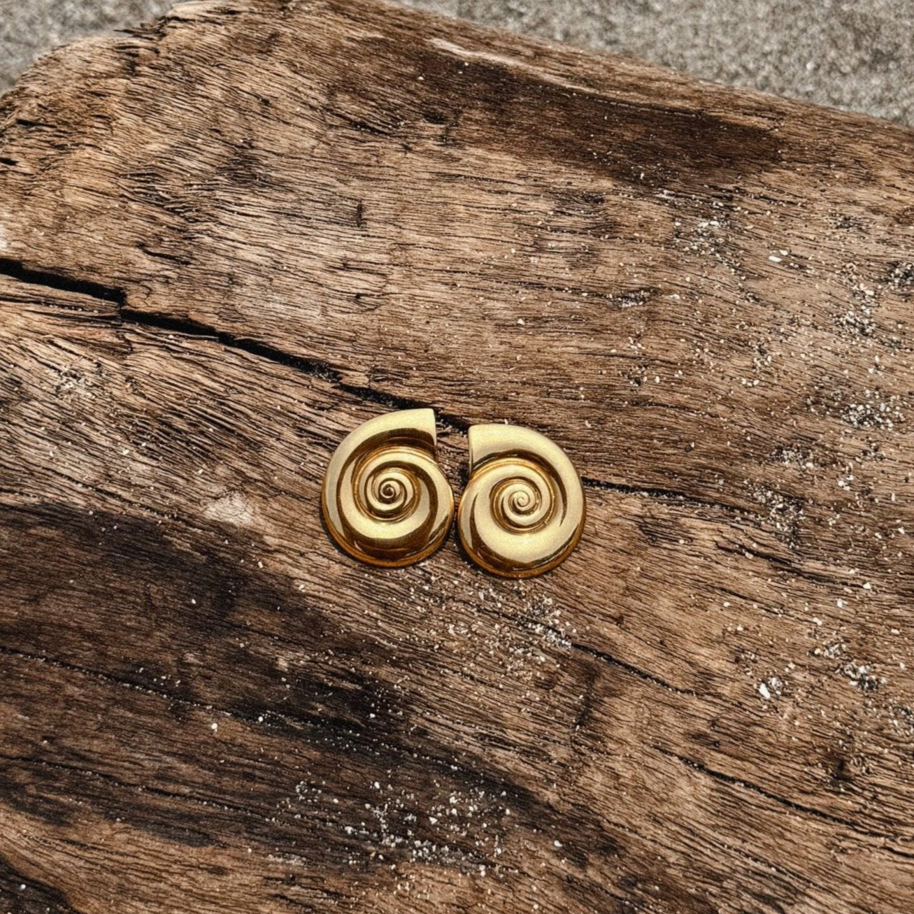 Naia Swirl Earrings